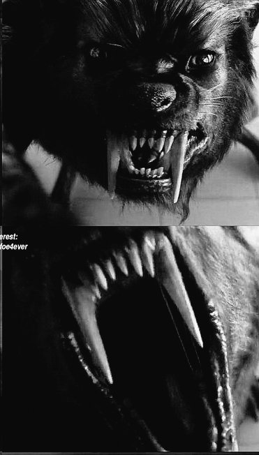 corvill77's tweet image. werewolf lupine oracle Addams