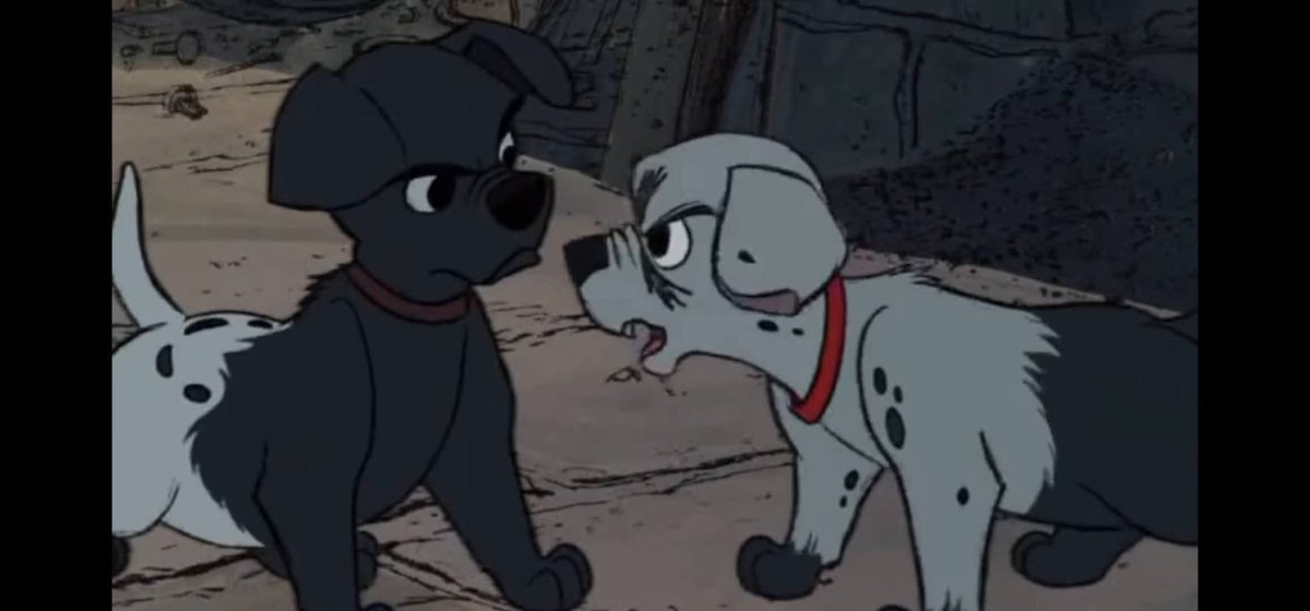 💦 🦴🐾ᎳᎥᏃᏃᎬᏒ JAMES DALMATIAN (ᎳᎥᏃ) 🐾 🦴💦 tweet media