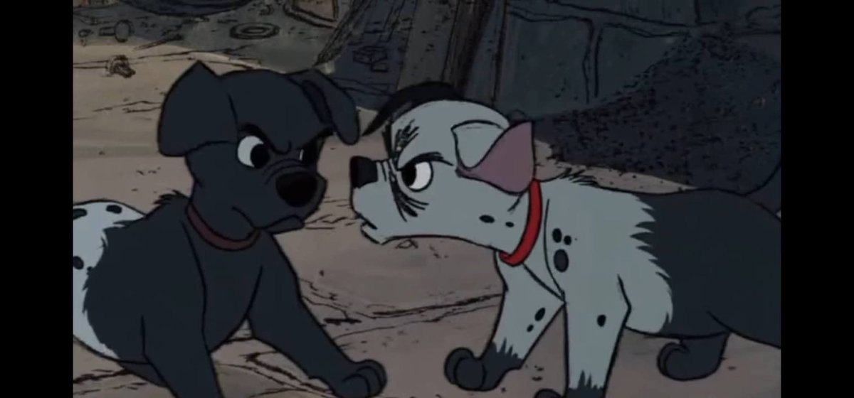 💦 🦴🐾ᎳᎥᏃᏃᎬᏒ JAMES DALMATIAN (ᎳᎥᏃ) 🐾 🦴💦 tweet media