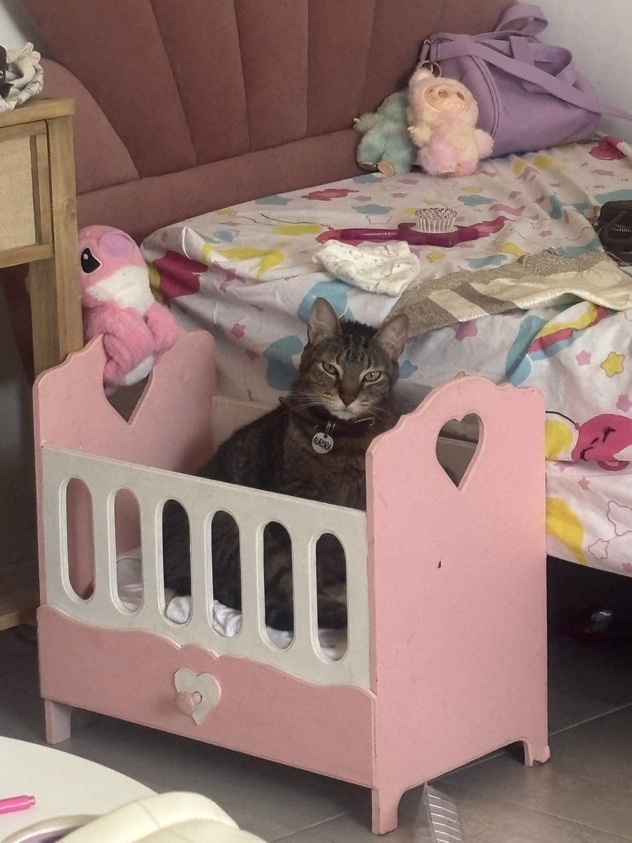 Mi hija le puso una cuna a Aurora y contra todo pronóstico fue la mejor compra que hicimos.