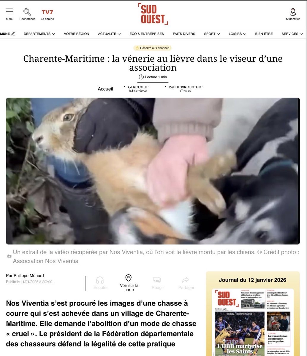 Pierre Rigaux tweet media