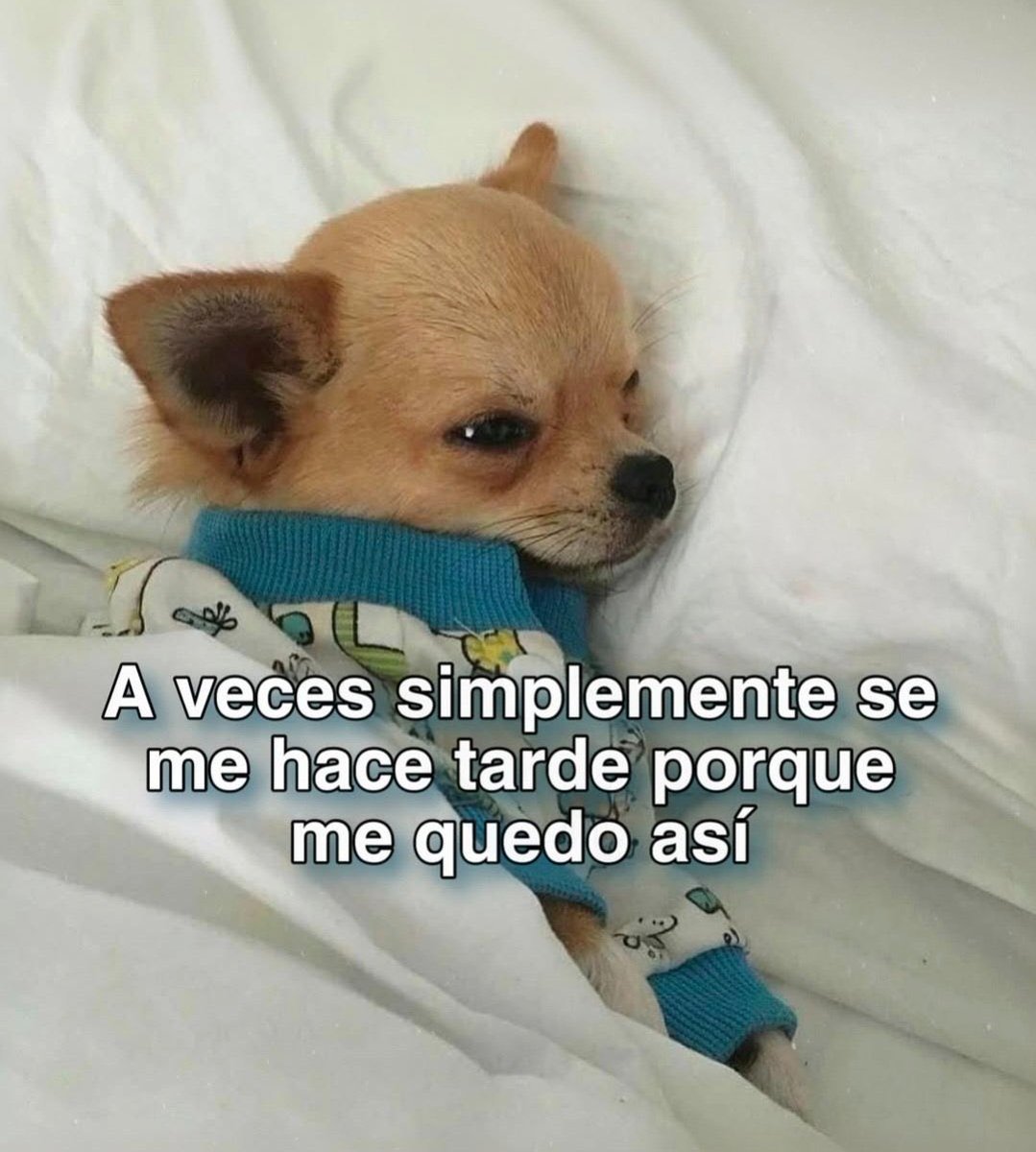 Salvador Iglesias Jr (@javisness) on Twitter photo 