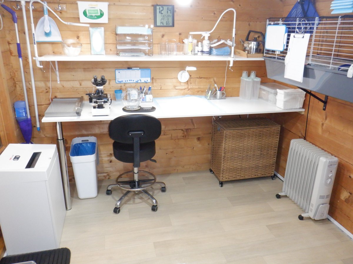 Hedgehog Cabin tweet media