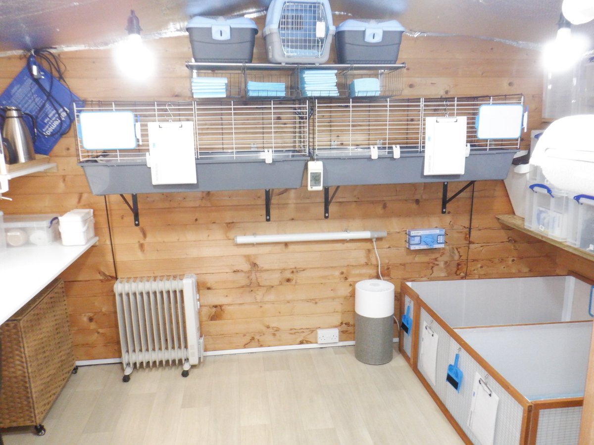 Hedgehog Cabin tweet media