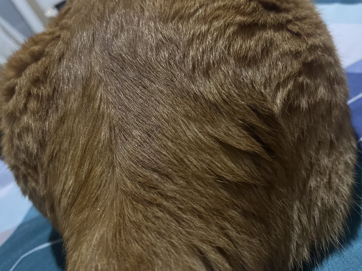 Tampak depan                 Tampak belakang