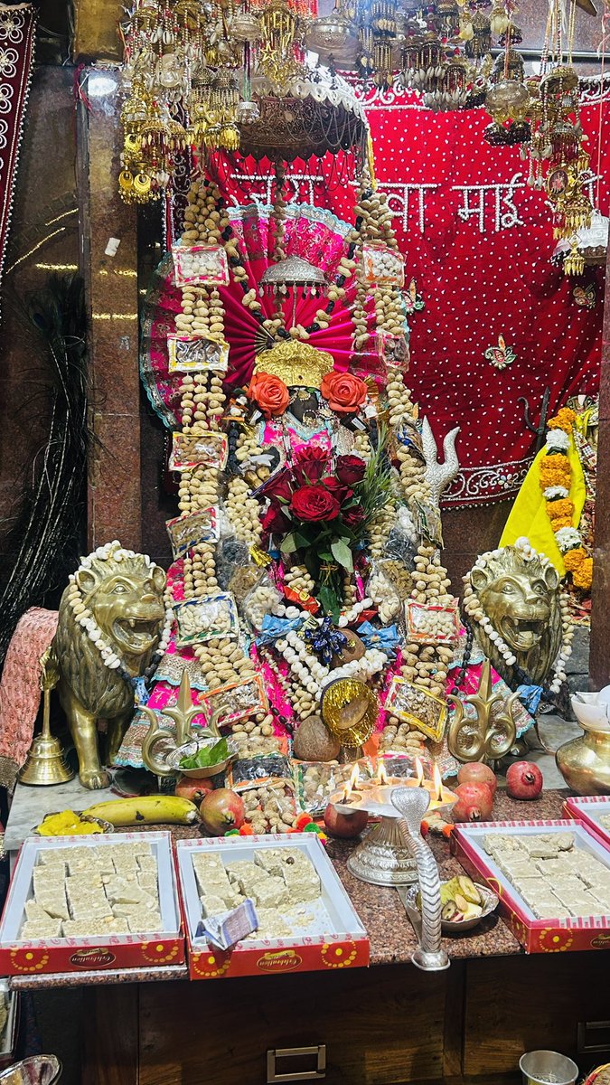 Moli Kaul 🇮🇳 tweet media