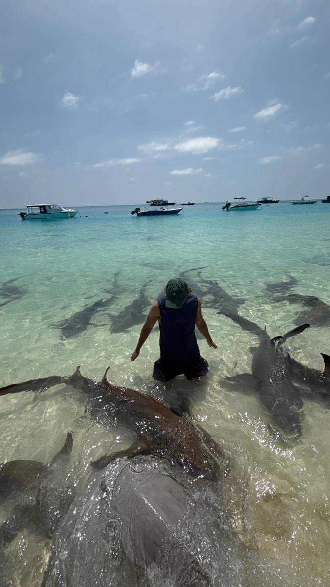 Devin Mark tweet media