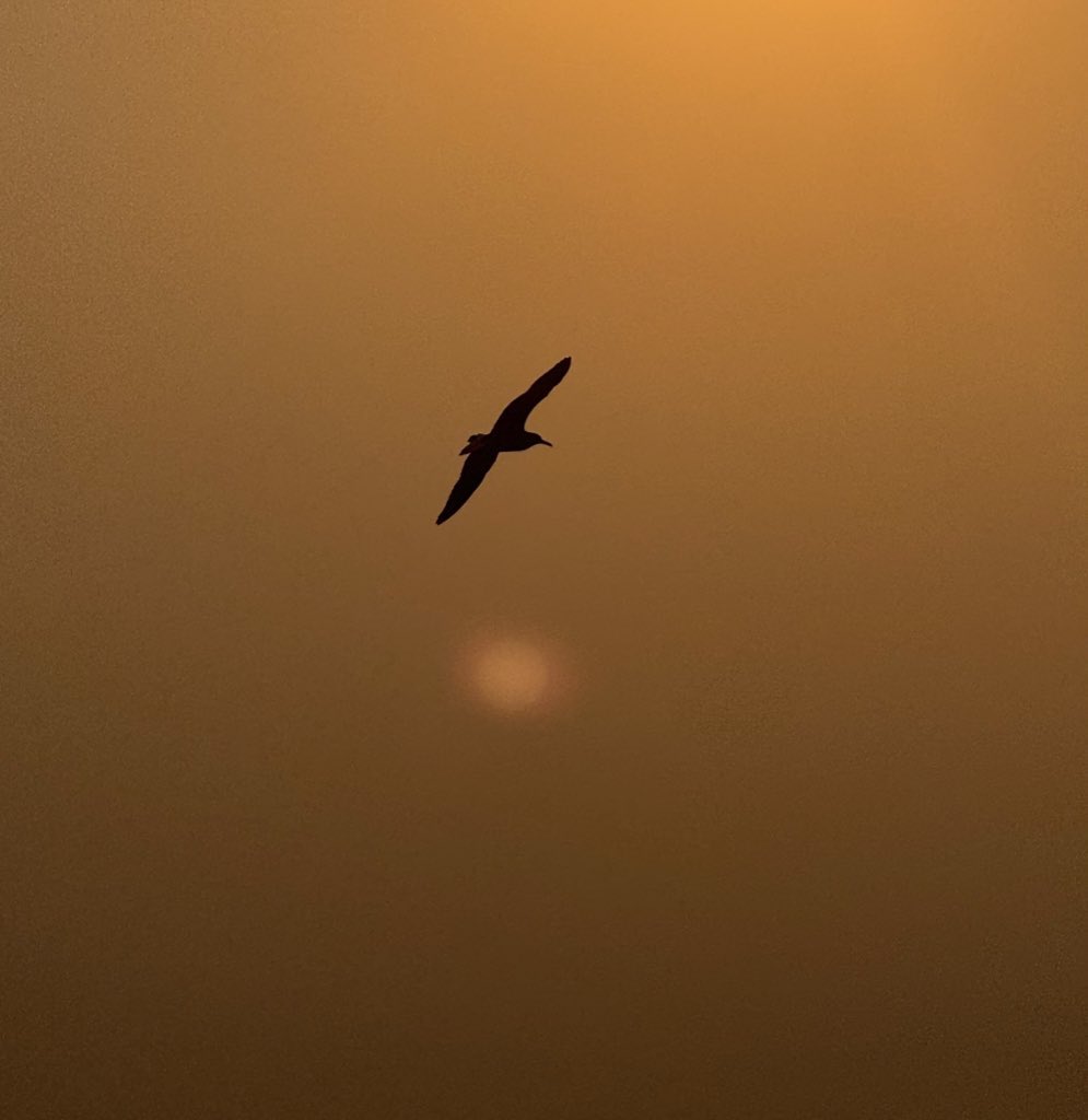 kai9 (@akai_l9) on Twitter photo 