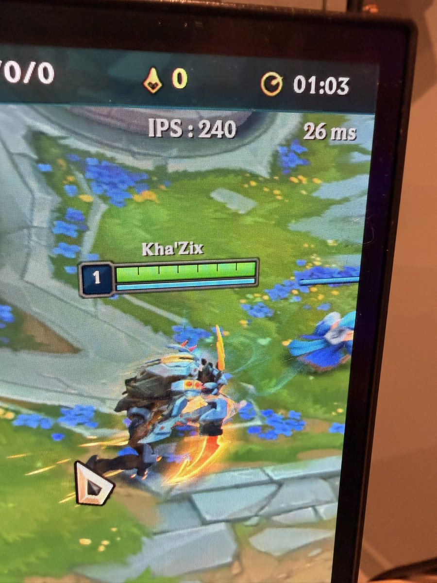 Crocodyle tweet media