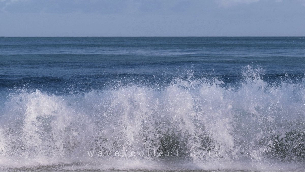 𝚌𝚘𝚝𝚎 tweet media