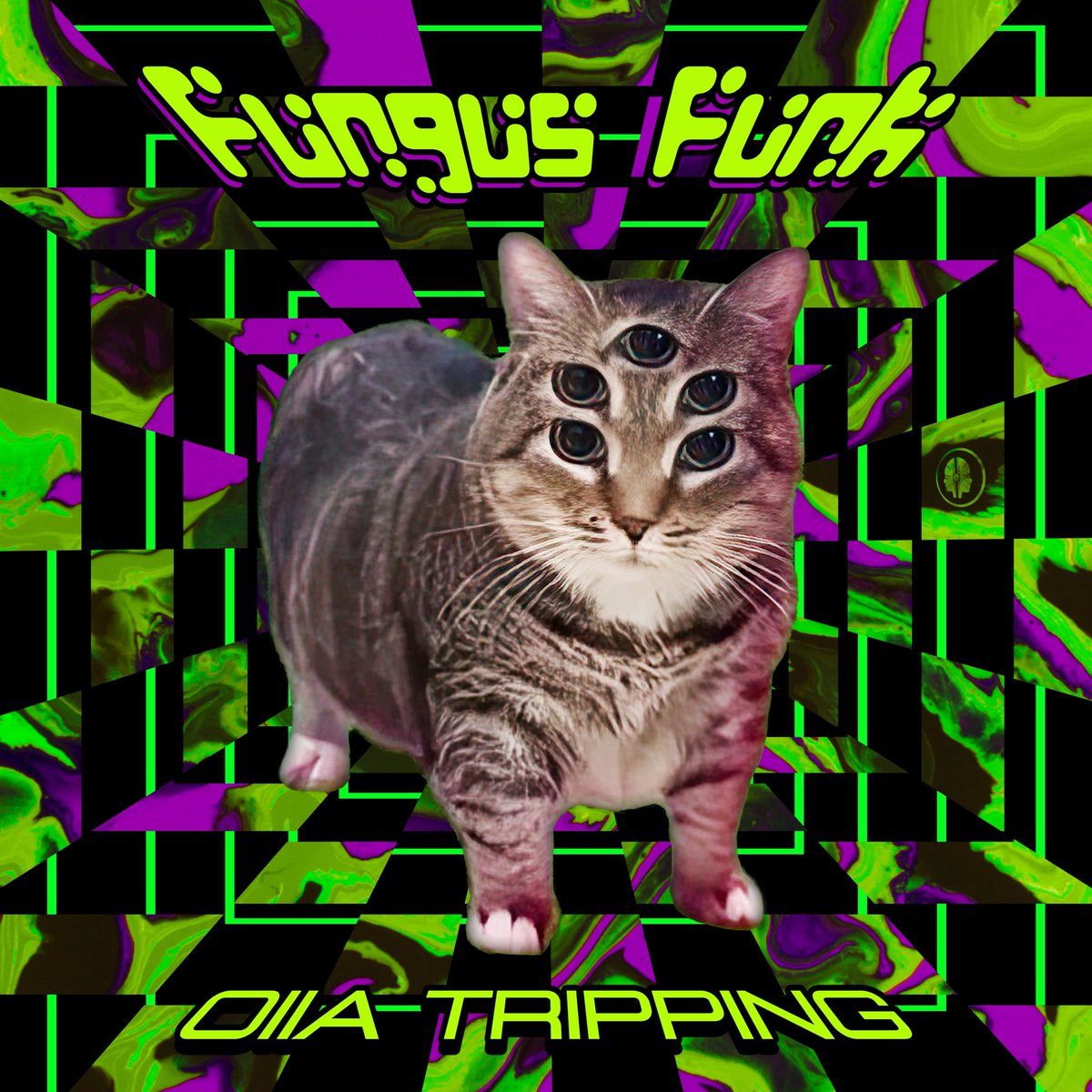 t Now! 📢  Fungus Funk - 'Oiia Tripping'
Listen &amp; Support ➡ oiiatrippng.lnk.to/NfPwUYlI ⬅
Mutant Disco opens 2026 with a high-velocity burst of Fungus Funk: a kaleidoscopic 148-bpm homage to Oiia’s Spinning Cat. Blast at will 🚀