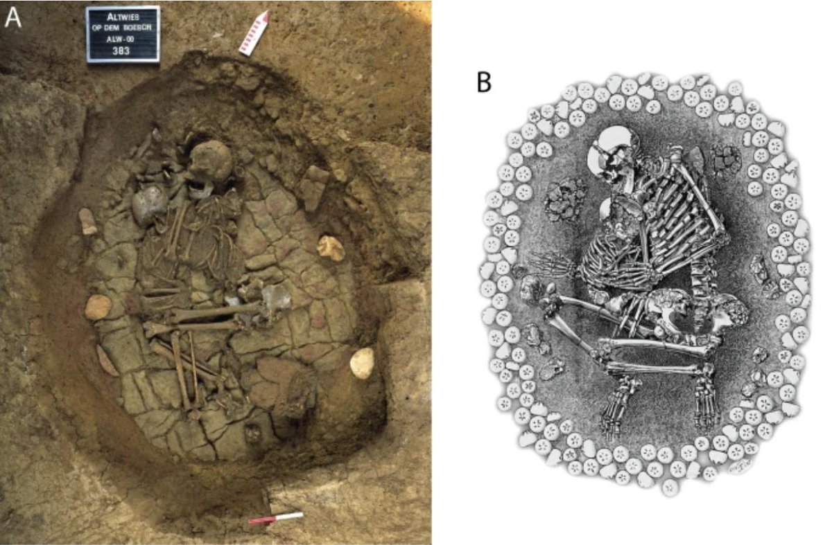 MyTrueAncestry tweet media