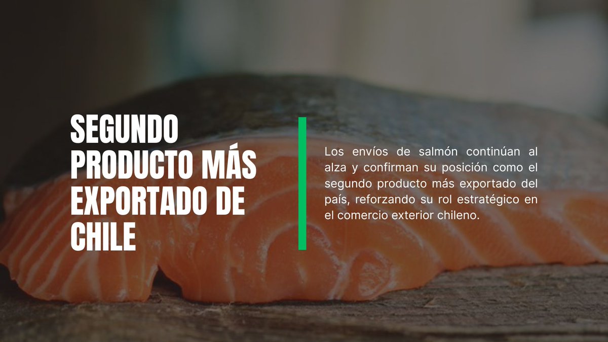 Los envios de salmón continúan al alza y confirman su posición como el segundo producto más exportado del país, reforzando su rol estrategico en el comercio exterior Chileno.