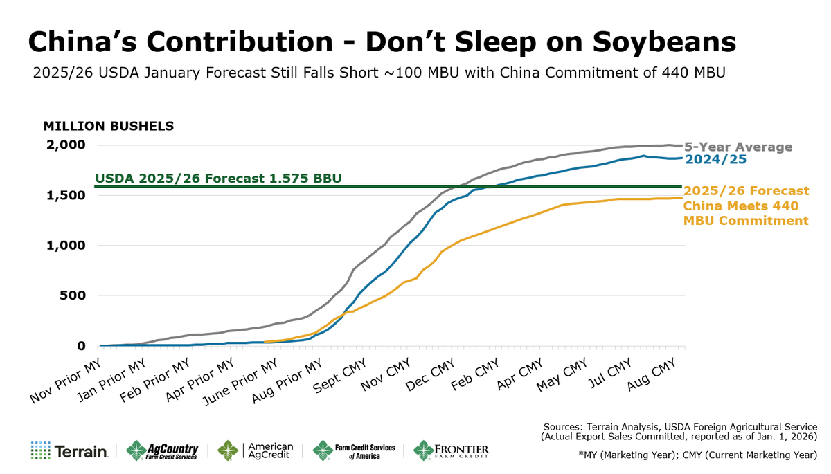 BBaatz1983's tweet image. 🐻 The bear is out of hibernation. 

🫛 As I have been calling for the past few months, the #USDA #WASDE yesterday made another downward revision to #soybean #exports for 2025/26 - given the dismal export sales pace this season. U.S. ending stocks increased by 60 million bushels…