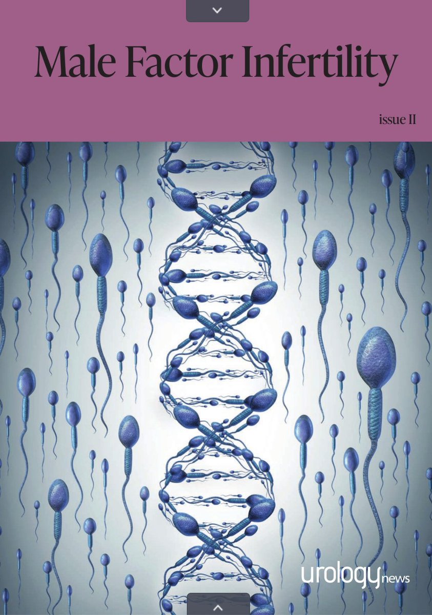 simone sim tweet media