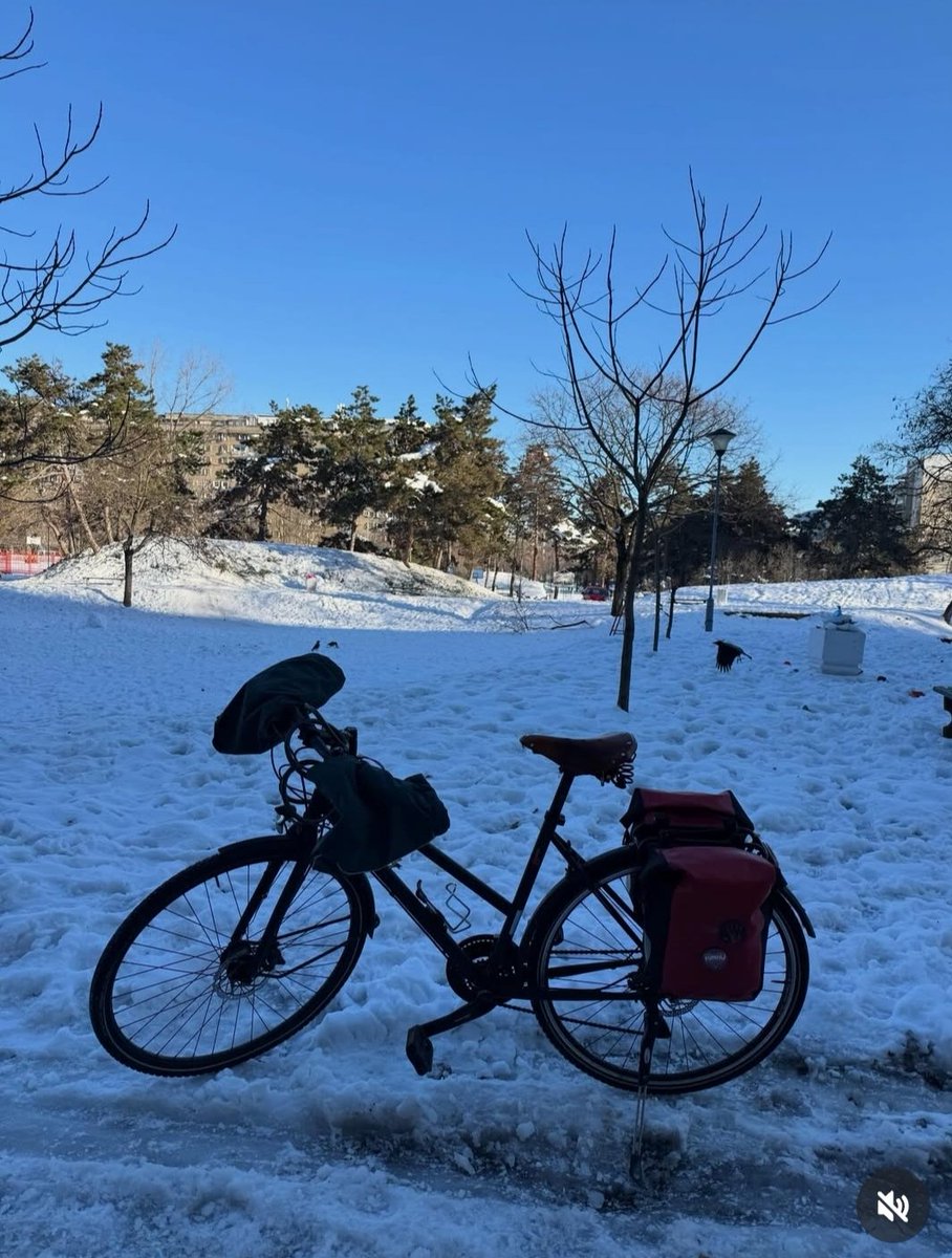 51džera tweet media