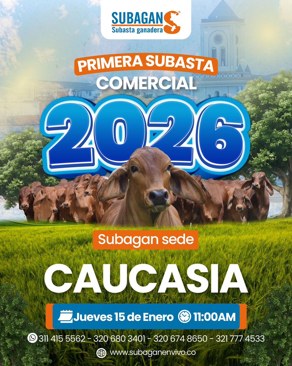 PCaucasia's tweet image. El próximo jueves 15 de enero, Subagan Caucasia da apertura a este año 2026, será el punto de encuentro para productores y compradores que buscan oportunidades para seguir creciendo.
#construyendoganadería
@Fedegan 
@jflafaurie 
@SubaganSA 
@plsinceganadero 
@Plsincelejogan1