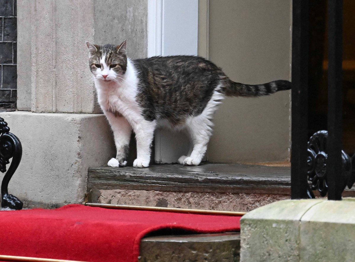 PoliticalPics tweet media