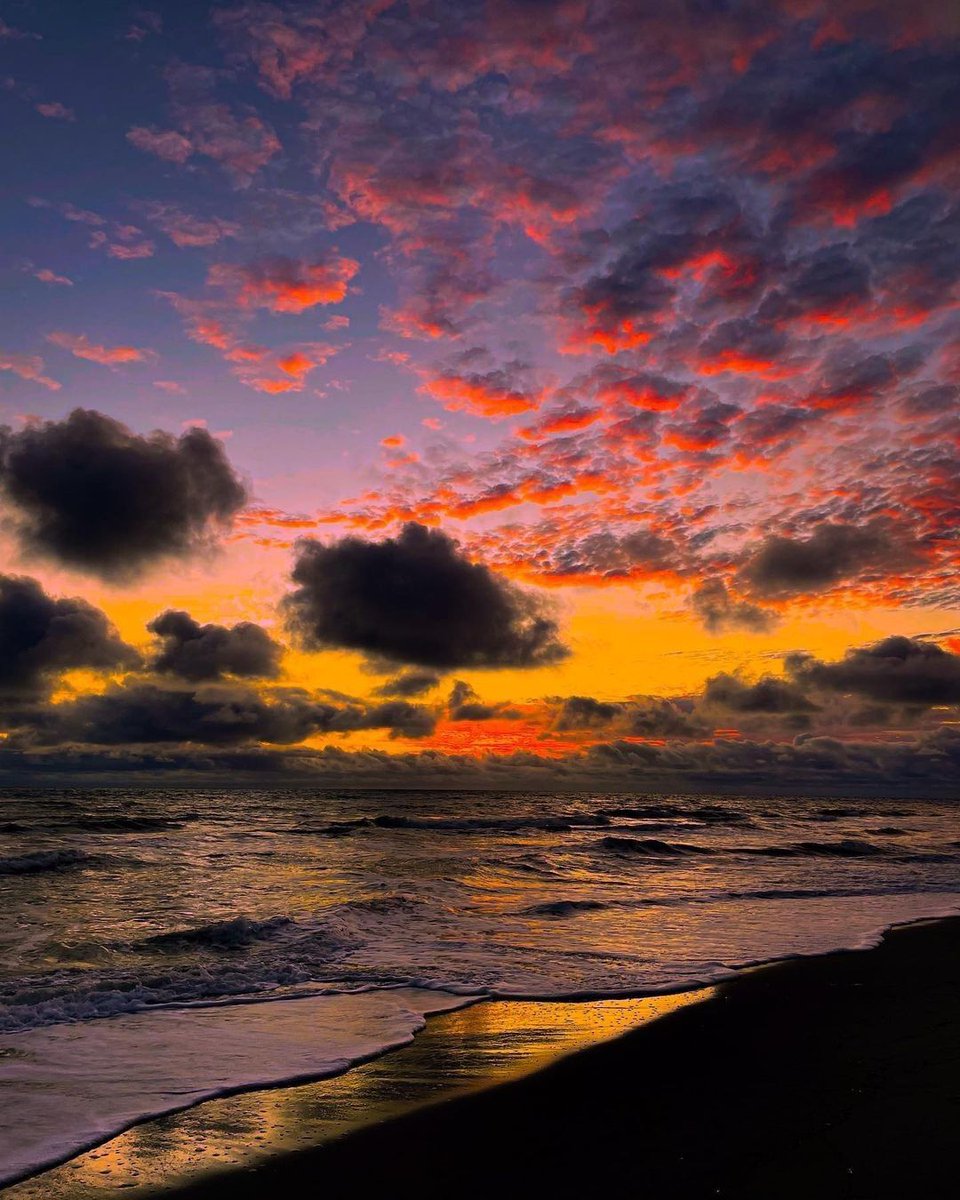 aestheticspost_'s tweet image. 