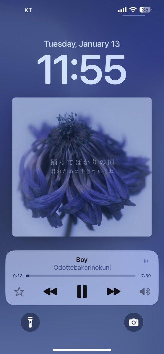 N (정상성 편입 시도 클럽) tweet media