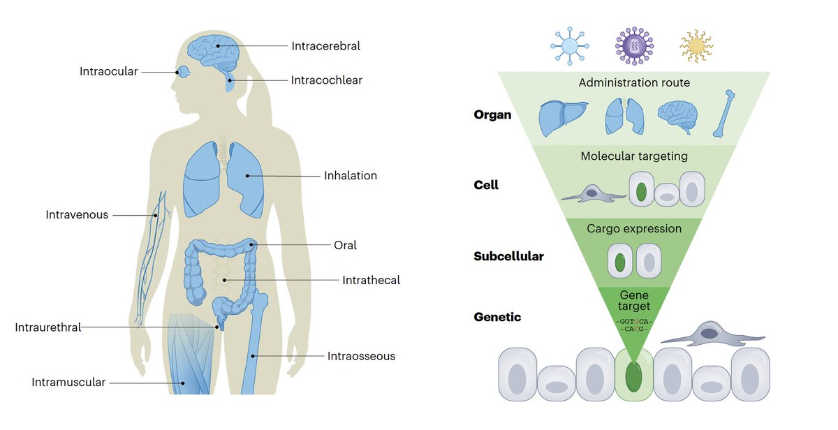 Eric Topol tweet media