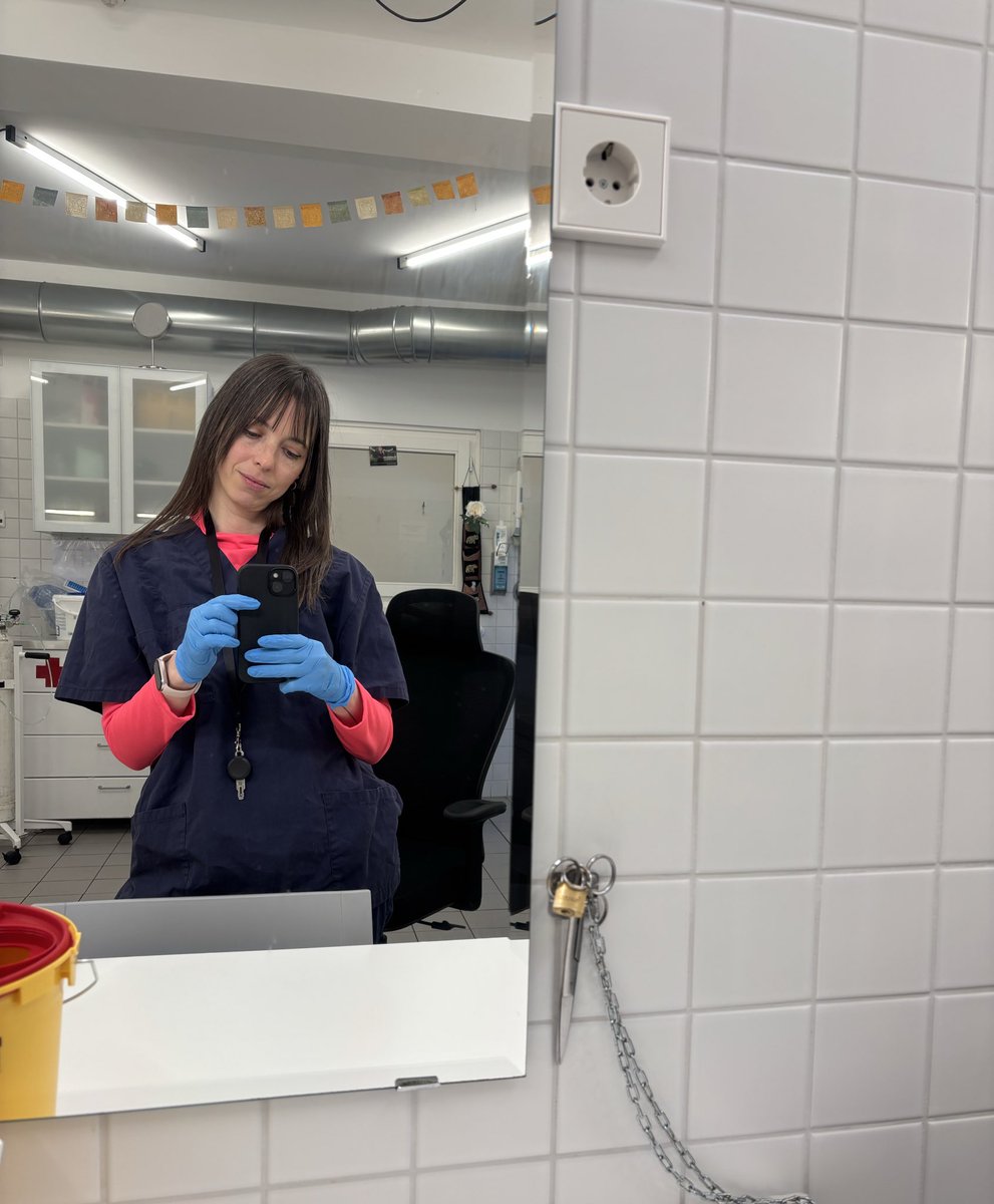 החיים בזמן האחרון