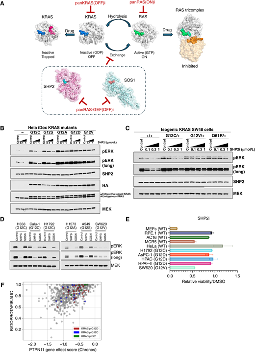 Molecular Cancer Research tweet media