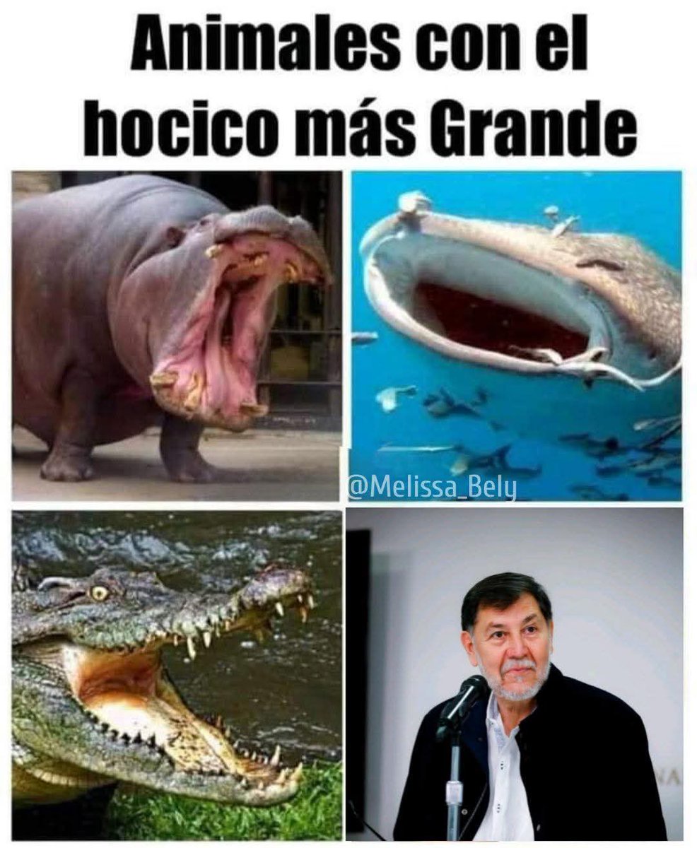 ChumelTorrees's tweet image. Según National Geographic...👇