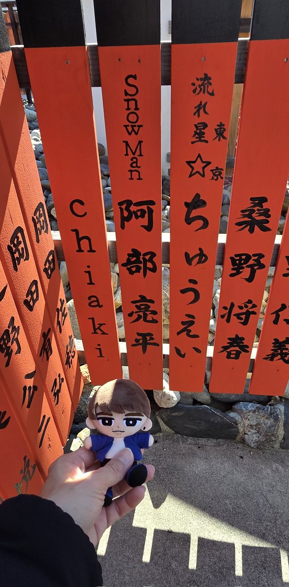 miyatto24's tweet photo. 去年はピンクの推しmamoriだけしか持ってなかったけど、今年は青も！！ https://t.co/82vfKqTaSV