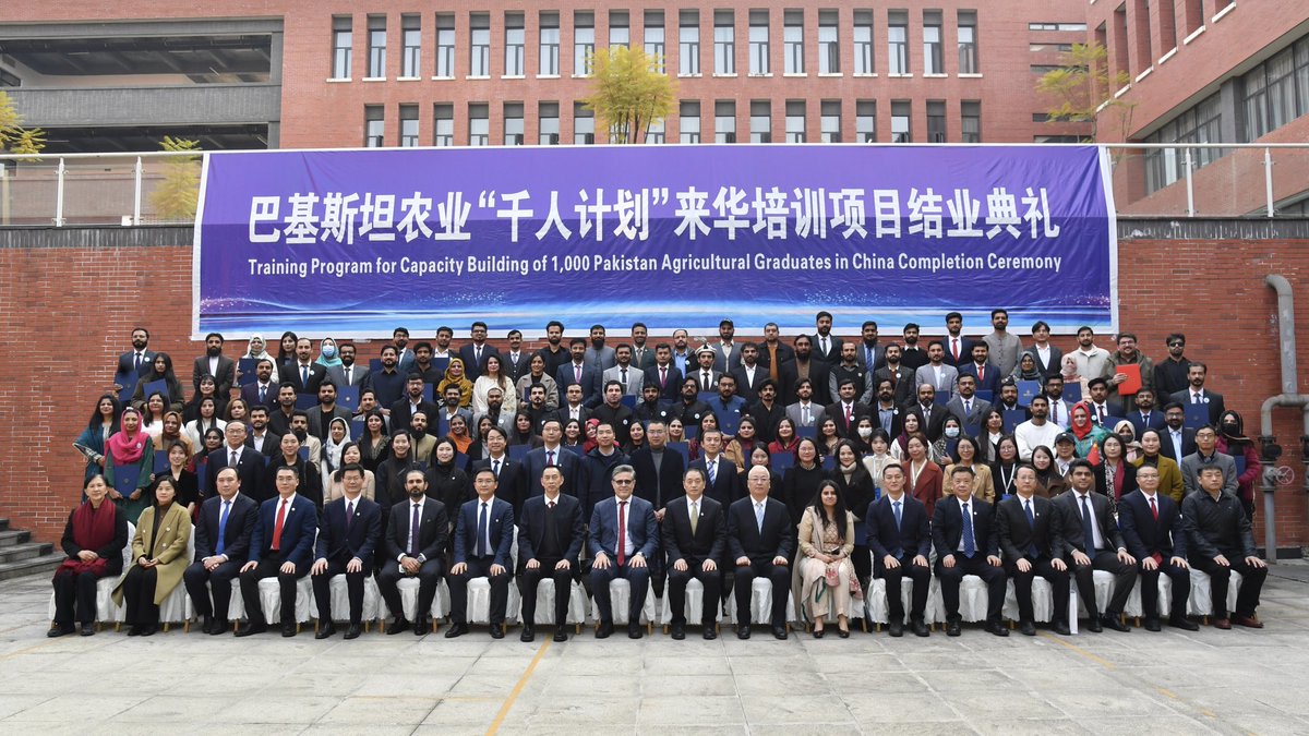 Khalil Hashmi tweet media