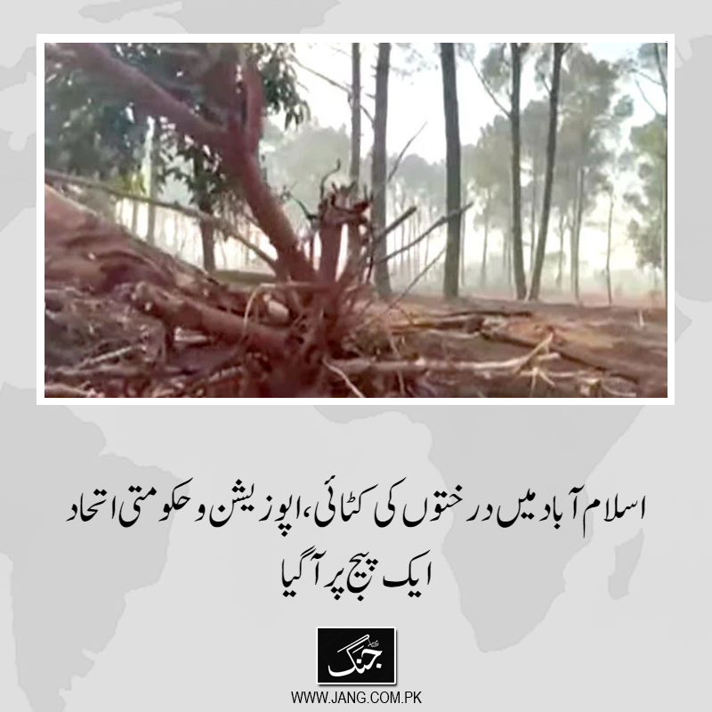 jang_akhbar's tweet image. اسلام آباد میں درختوں کی کٹائی پر اپوزیشن اور حکومتی اتحادی جماعتیں ایک پیج پر آگئیں۔
تفصیلات جانیے: jang.com.pk/news/1546451
#DailyJang #Islamabad #TreeCutting #Parliament