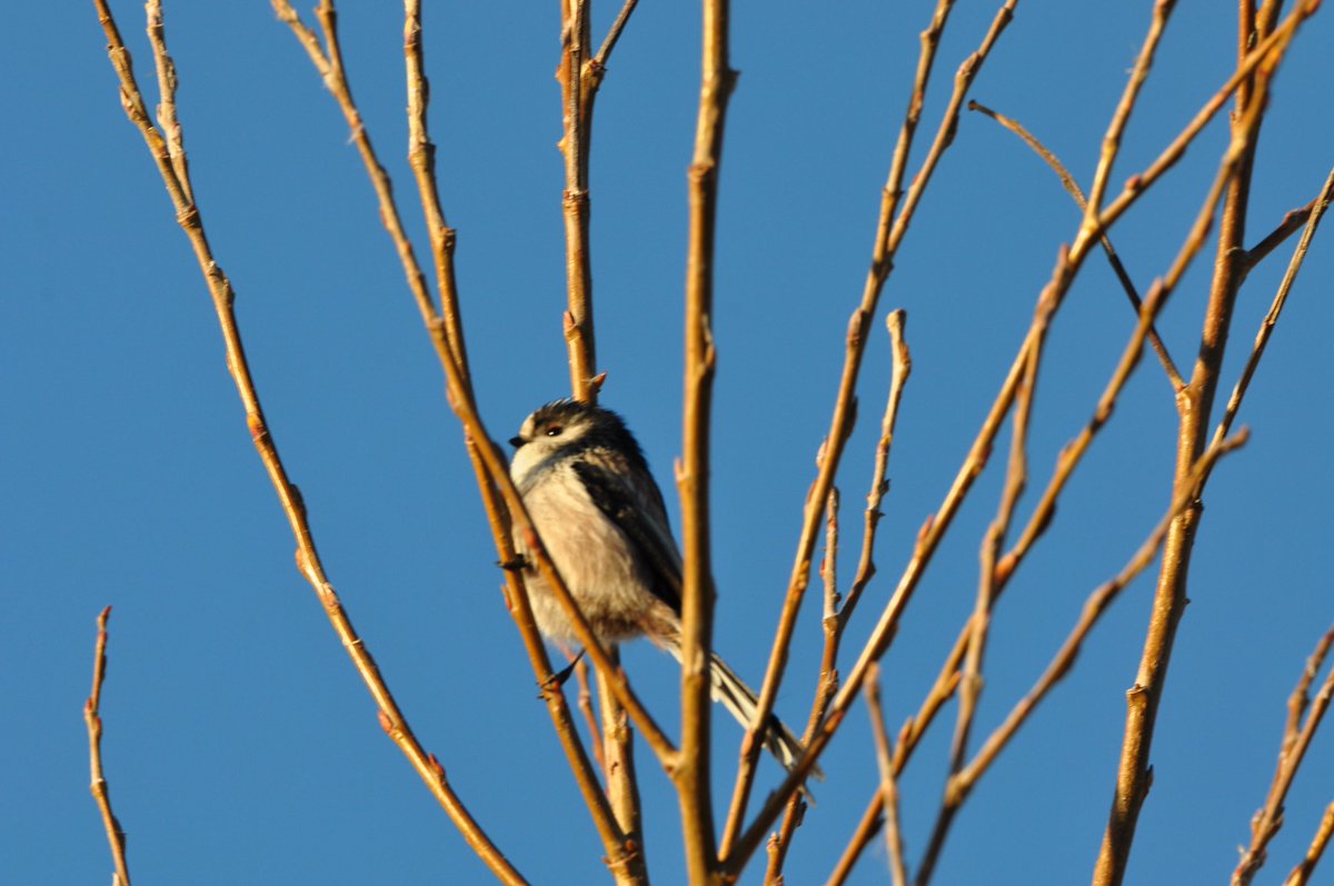 StuartBurt8's tweet image. Upton house yesterday