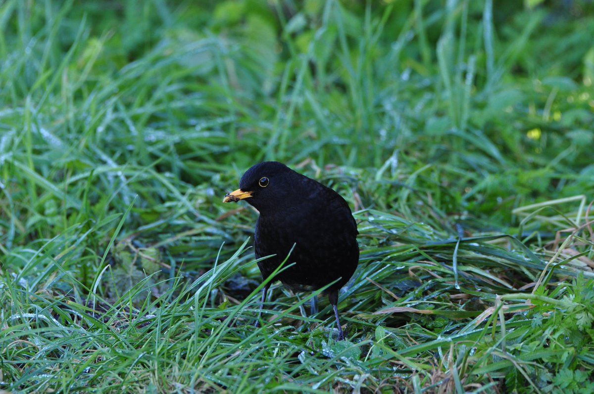 StuartBurt8's tweet image. Upton house yesterday