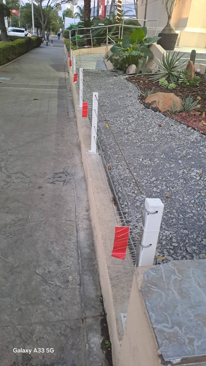 PoderAG_Jal's tweet image. 🚨Hostilidad urbana🚨
En Centro Magno por Av. Vallarta algun inconsciente se le ocurrió colocar estas púas punzocortantes para dañar a los peatones y especialmente a personas con alguna discapacidad visual y hasta algun animalito. 
Una ciudad que hay cientos de obstáculos en las…