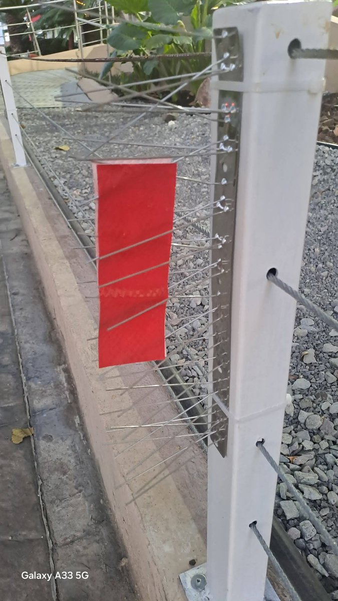 PoderAG_Jal's tweet image. 🚨Hostilidad urbana🚨
En Centro Magno por Av. Vallarta algun inconsciente se le ocurrió colocar estas púas punzocortantes para dañar a los peatones y especialmente a personas con alguna discapacidad visual y hasta algun animalito. 
Una ciudad que hay cientos de obstáculos en las…