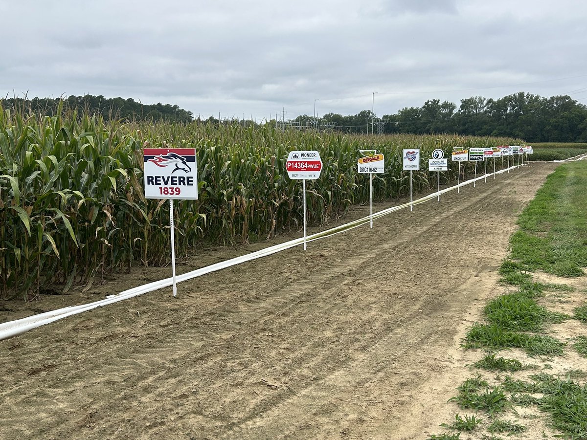 Erick Larson tweet media