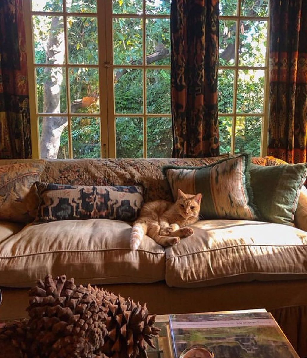 AudreyHurtburn's tweet image. Stop ✋ home decor inspo checkpoint