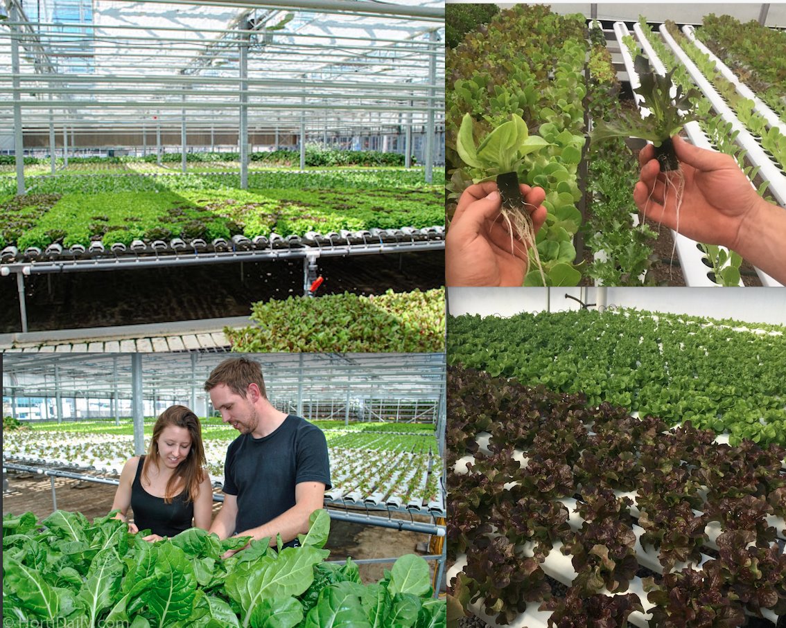 Joe Swartz tweet media