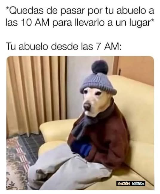 Rincón Curioso (@rincncuriosoo) on Twitter photo 