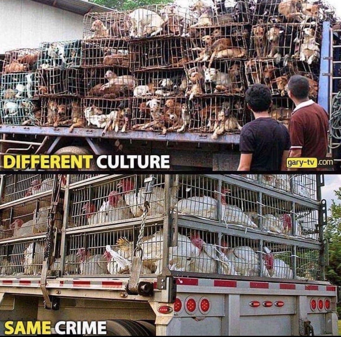 NothingIsArt's tweet image. 