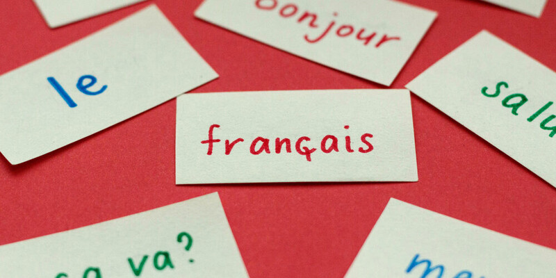 Susanne Evens tweet media