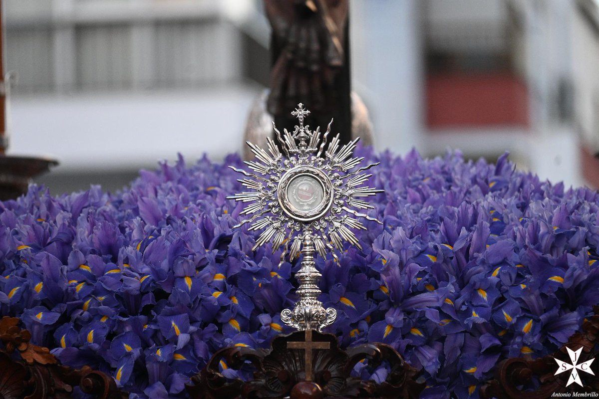 MISA DE HERMANDAD - Función Solemne en Honor de San Enrique de Ossó

📅 Domingo 18 de enero
⛪ Parroquia de San Juan Bautista
🕛 12:00
✝️ Al término, se dará a besar la reliquia de San Enrique.

🍻 Convivencia a partir de las 14:00 en nuestra Casa Hermandad.

📸 <a href="/amembri96/">Antonio Membrillo</a>