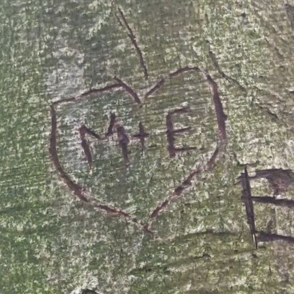 holmesbury's tweet image. oh we could of had it all