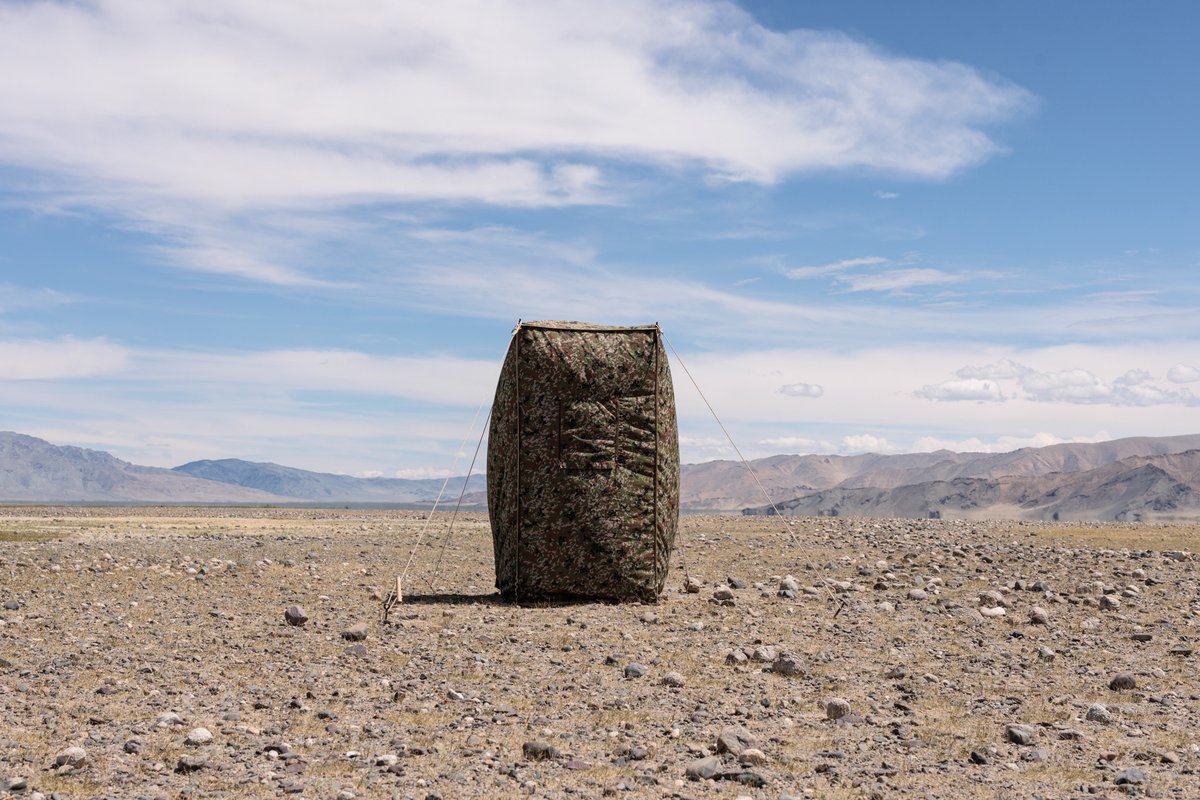 Dave Brosha tweet media