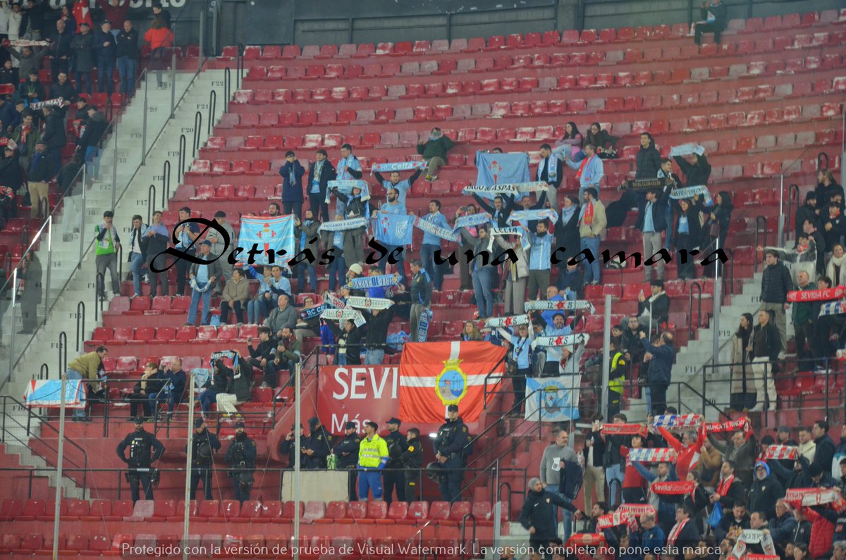 LA GRADA DETRÁS DE UNA CÁMARA tweet media