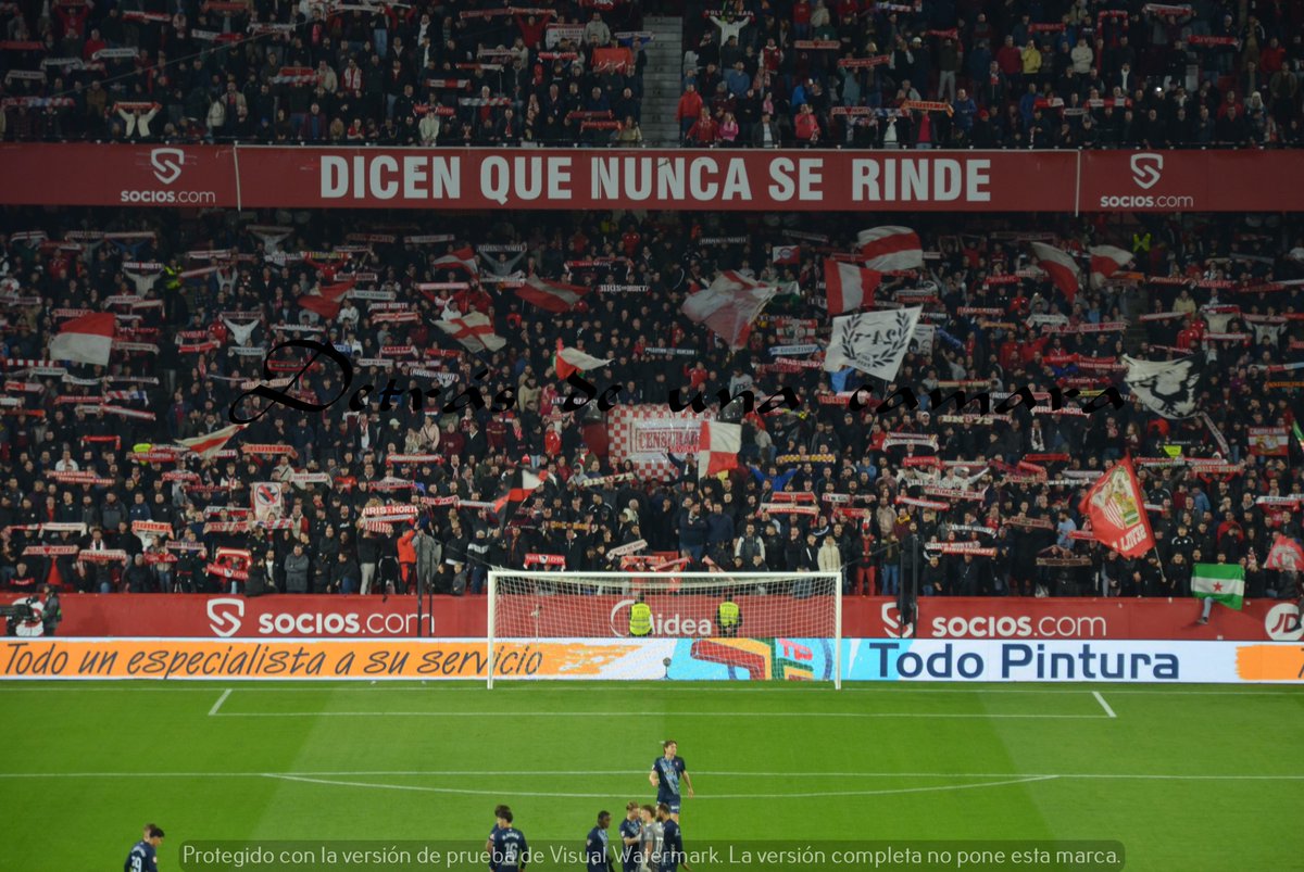 LA GRADA DETRÁS DE UNA CÁMARA tweet media