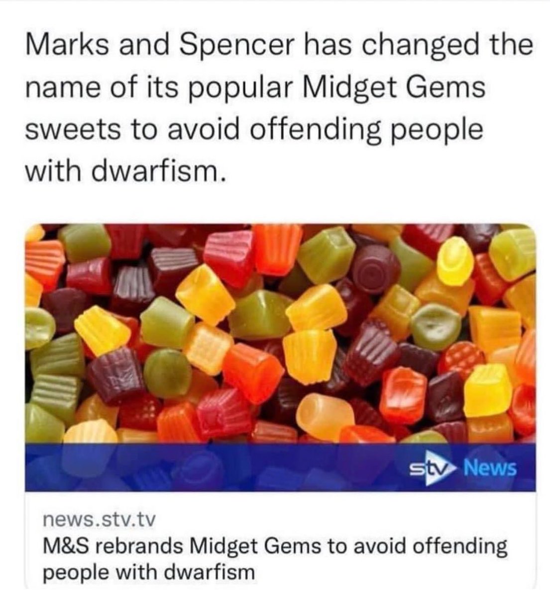 Max and Paddy Quotes tweet media