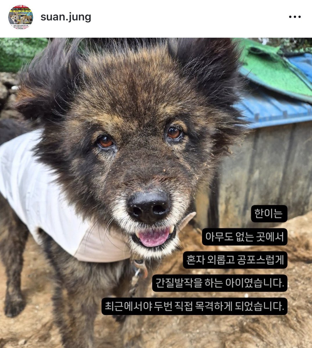 장안동불주먹 레오 tweet media
