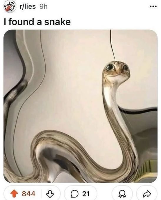 CatTikToks's tweet image. 