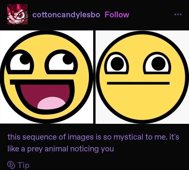 GimmickSlop's tweet image. 